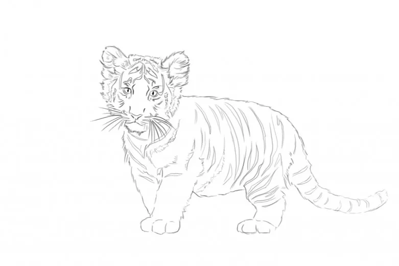 Black and white sketch of a Javan Tiger Club